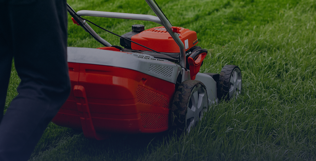 Onderhoud je gazon: tips voor groene en dichte grasmat