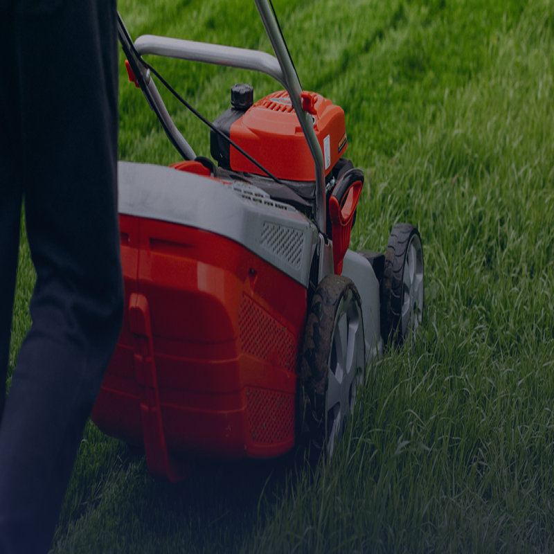 Onderhoud je gazon: tips voor groene en dichte grasmat