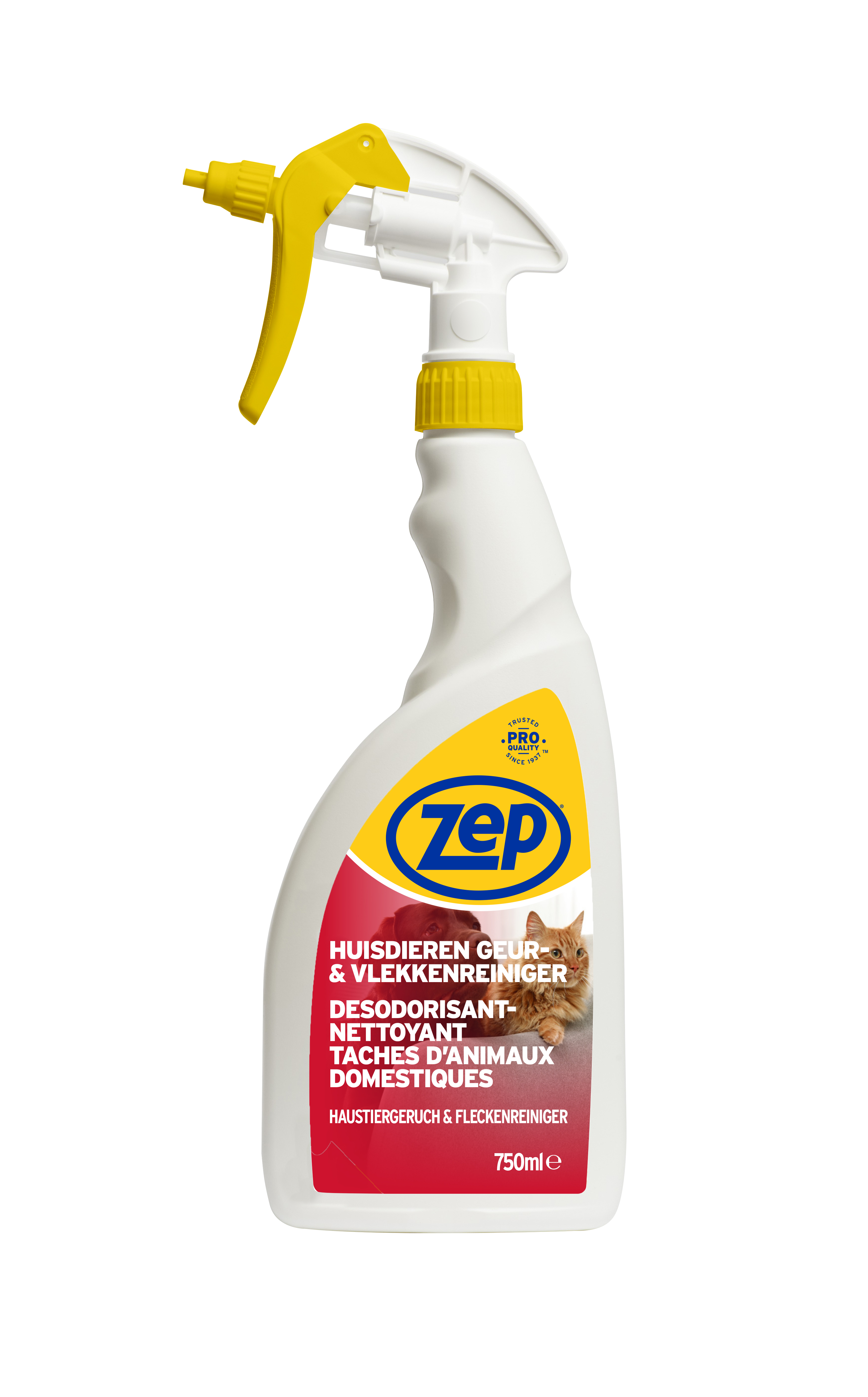 Vloeren en interieur