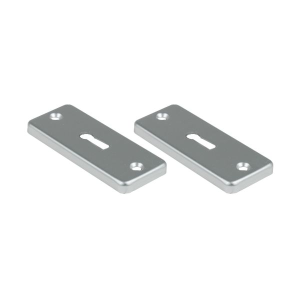 Ami Afdekrozet sleutelgat tbv kastslot - geperst aluminium - RZ SLG AF