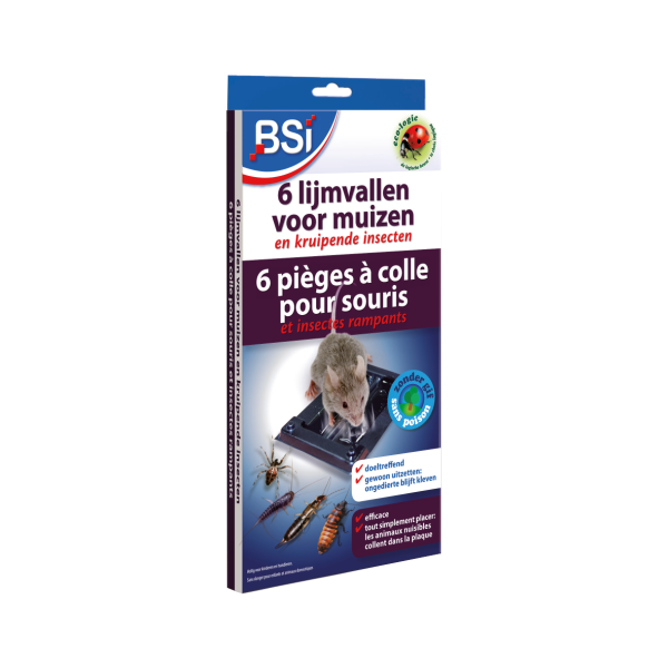 BSI Lijmval voor muizen - 6 stuks - 25084