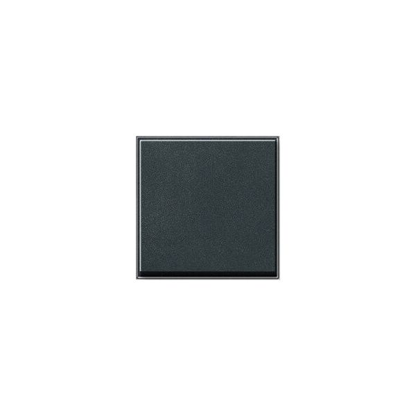Gira 029667 TX44 Bedieningswip - antraciet