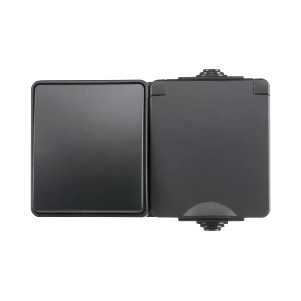 ION Opbouw combinatie wandcontactdoos en wisselschakelaar IP55 - horizontaal - zwart - 55.200.090