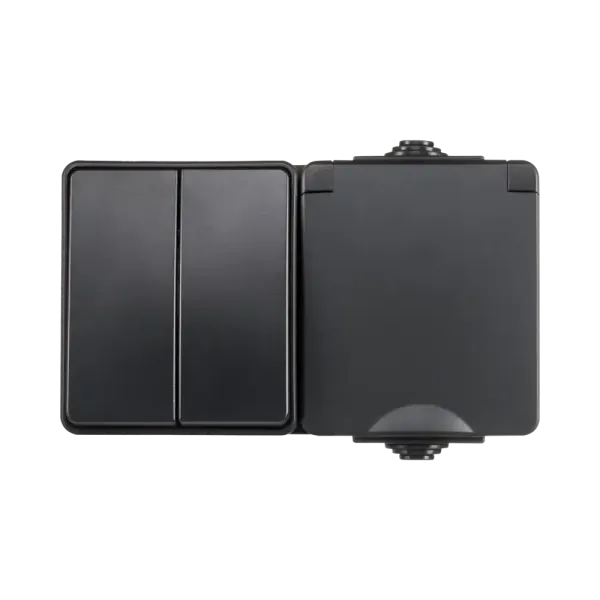 ION Opbouw combinatie wandcontactdoos en serieschakelaar IP55 - horizontaal - zwart - 55.200.110