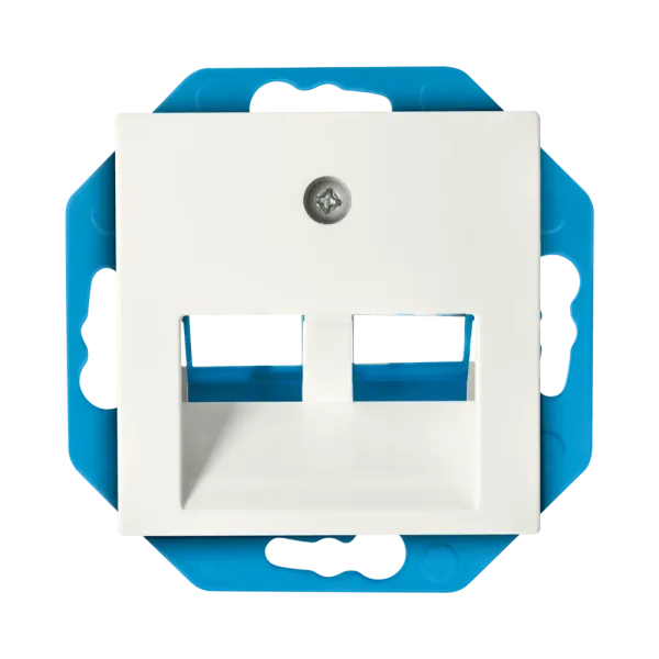 ION Modular Jack 30&deg; Cat en Coax met centraalplaat V1/J1 - 2-voudig - glans Alpin Wit - 13.300.114