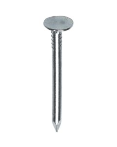 KG Asfaltnagel - DIN 1160A - staal verzinkt - 1 kg