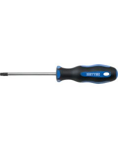 Heytec Schroevendraaier Torx TX20 5084515