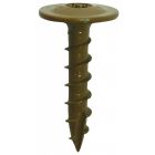 Woodies Ultimate Tellerkopschroef TX (torx) - shield
