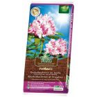 HumuForte BIO Ferticure rododendrons en heide - 40 Liter - HF40RH