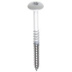 Fisinox Trespaschroeven - RAL 9001 cremewit - RVS A2
