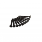 Dulimex Schroeven tbv scharnier - 4.5x40 mm kruiskop (PZ) - RVS zwart - 10 stuks - HSCH RVS ZW P