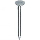 KG Asfaltnagel - DIN 1160A - staal verzinkt - 1 kg