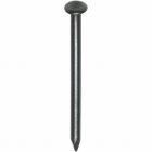 HJZ stalen nagel blauw - bombe kop - 1 kg