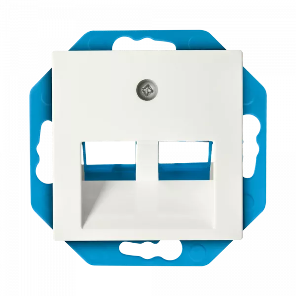 ION Modular Jack 30° Cat en Coax met centraalplaat V1/J1 - 2-voudig - mat Alpin Wit - 13.300.115