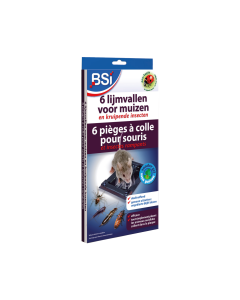BSI Lijmval voor muizen - 6 stuks - 25084