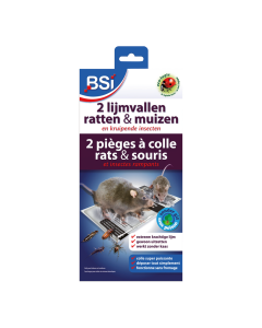 BSI Lijmval voor muizen & ratten - 2 stuks - 25329