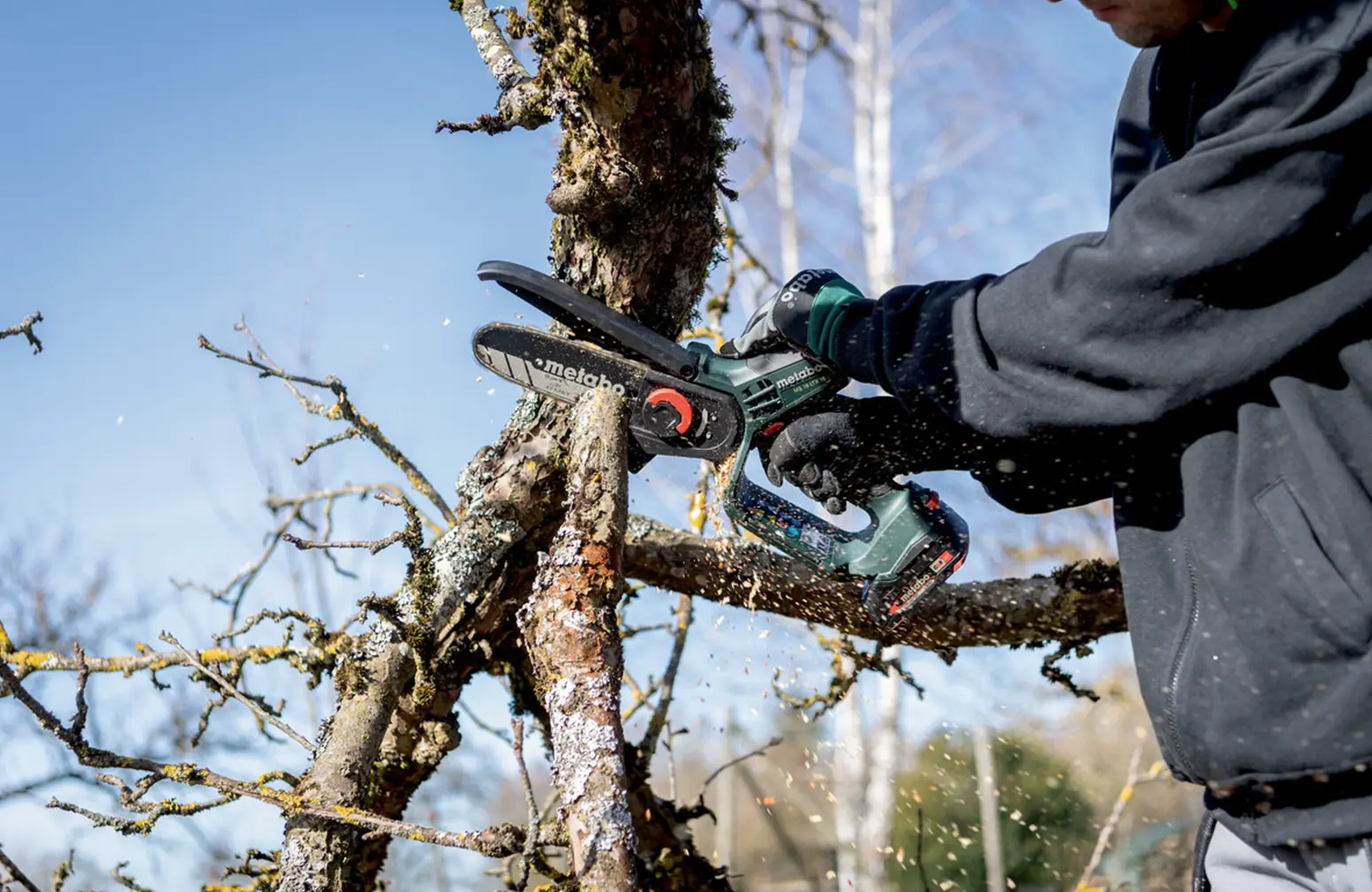Gebruik deze kalender om jouw planten te snoeien!